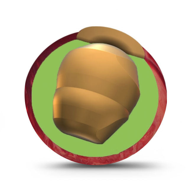 Columbia 300 Momentum Plus Bowling Ball 1