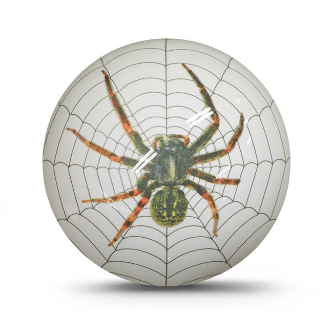 PBS Viz White Spider Hardball Bowling Ball