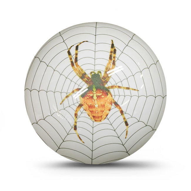 PBS Viz White Spider Hardball Bowling Ball 2